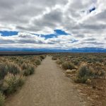 Photo of New Mexico landscape
