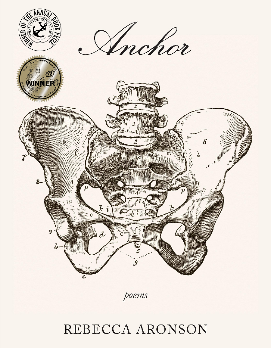 Cover of the book "Anchor".