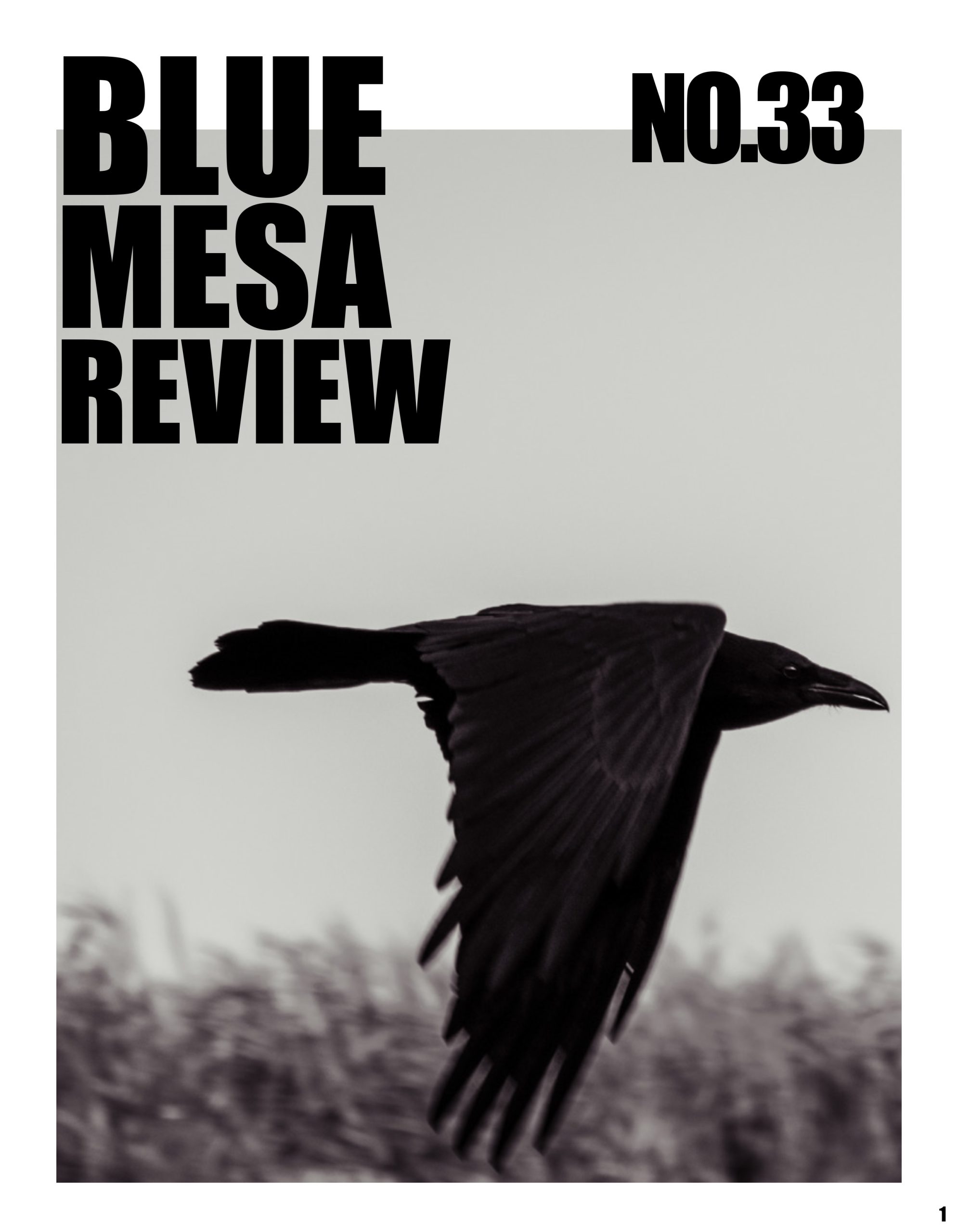 Issue 33 cover