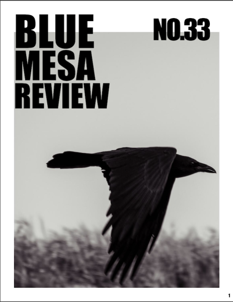 Cover of Blue Mesa Review No. 33, feat. a flying crow.