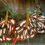 Painting of three red and white anthurium flowers