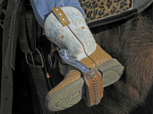 Photograph of a zoomed-in cowgirl boot, white and brown, in a stirrup against a brown horse's side, with a leopard-print saddle.
